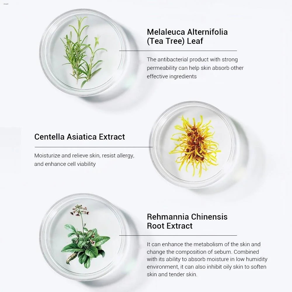 Breylee Tea Tree Acne 4-piece set series