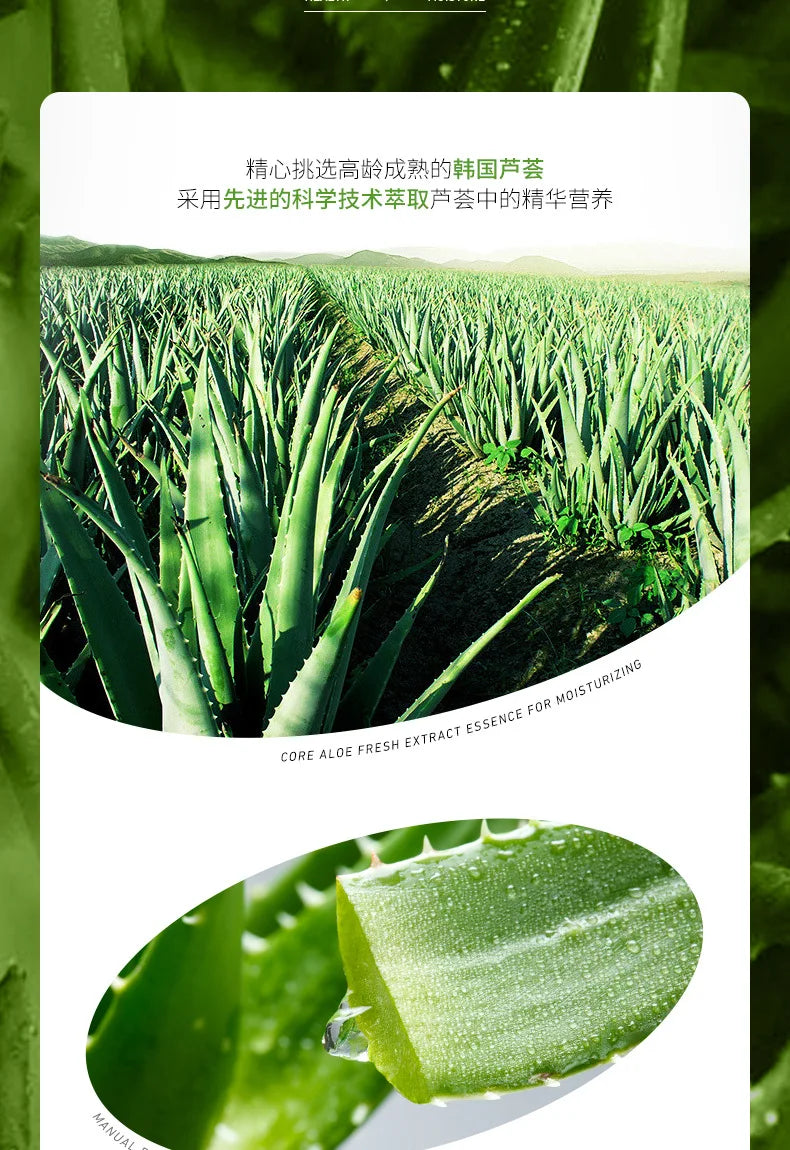 Aloe Vera Toner Essence Moisturizing  Korean Refreshing and Nourishing To Improve Dryness Toner Facial Skin Care